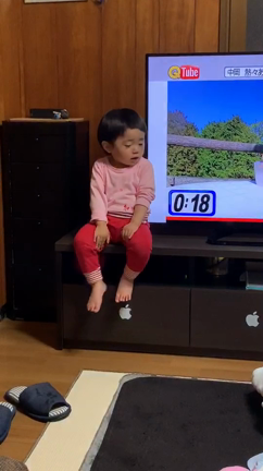 究極の癒しの記事動画