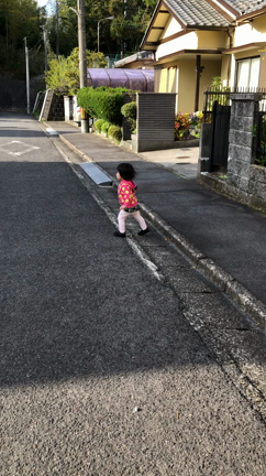 孫と散歩の記事動画