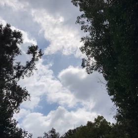 感謝の春分の画像