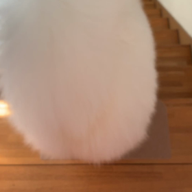 出来たぁ♪の画像
