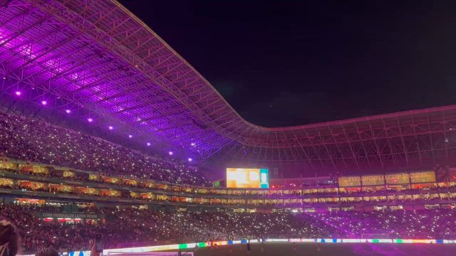 FIFA Word Cup vs Tunisiaの記事動画