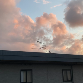 綺麗な景色♡鳥のさえずりの画像