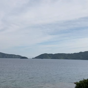驚きの嬉しさ♡自然の中の幸せの画像