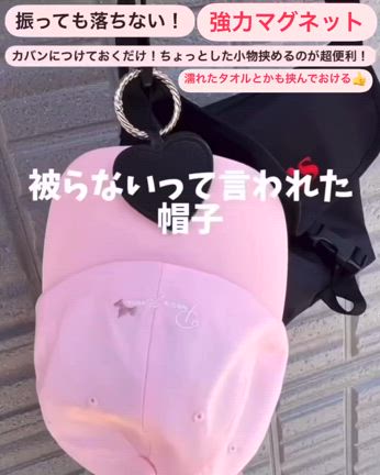 ディズニー暑い日＆子連れの必需品！楽しむには暑さ対策が重要！の記事動画