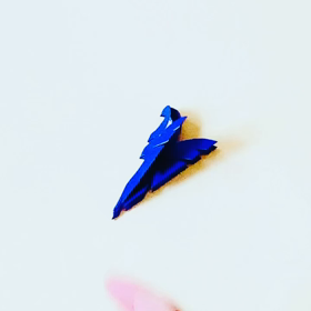 切り紙（放課後児童クラブはばたく）の画像