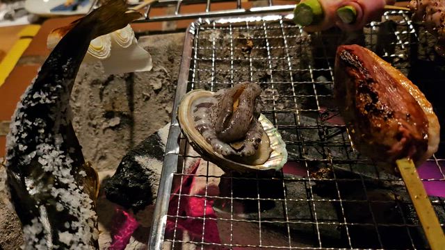 ごん助の記事動画