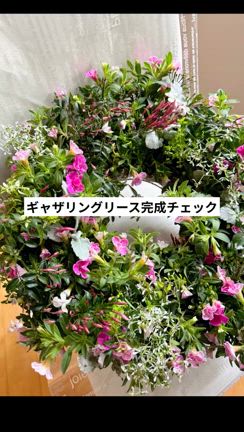 2024/05/02の記事動画