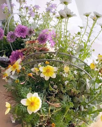 2024/04/15の記事動画