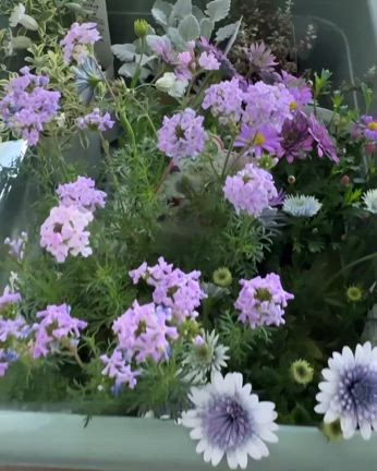 2024/04/15の記事動画