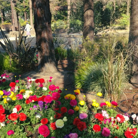 新しいお花のボランティアの形の画像