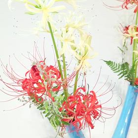 2025/10/04の画像