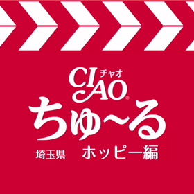 ちゅ〜るメーカーの画像