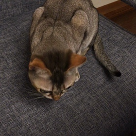 ハンターの画像