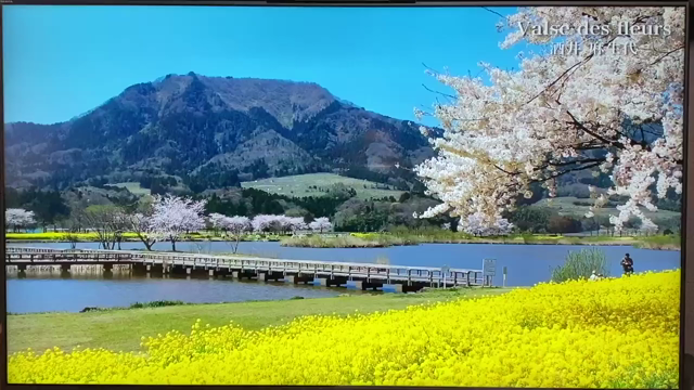 私の1stアルバムから『花のワルツ』がCMで流れています♪の記事動画
