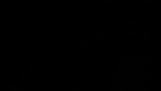 Taylor来日の記事動画