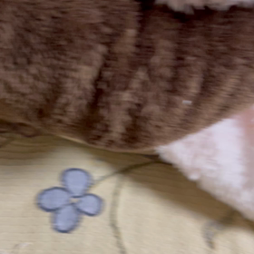 シロちゃん久しぶりのフミフミの画像