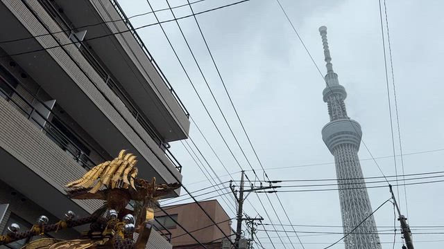 台風25号もなんのその、牛嶋神社御祭禮で御神輿を担ぎましたの記事動画