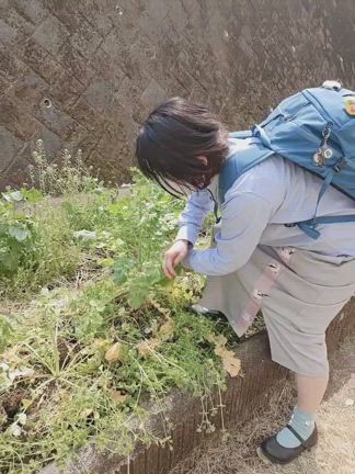 卒業生が一緒に演奏するため練習に来てくれた 〜町田市 鶴川 フルート教室の記事動画