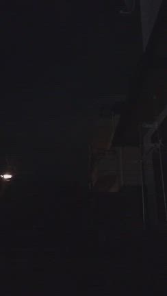 連休2日目と3日目の記事動画