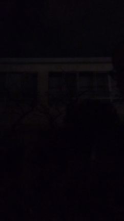 師走、はやLast1ｹ月の記事動画