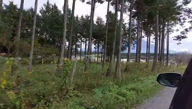 チョビっと東方面へ旅立①の記事動画