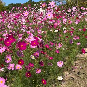 おはようございます　11月19日の画像