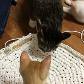 猫さん、チビがチビだった頃ですよの画像