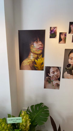 写真展　"彩花人"の記事動画