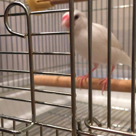 少し元気が戻ってきましたの画像