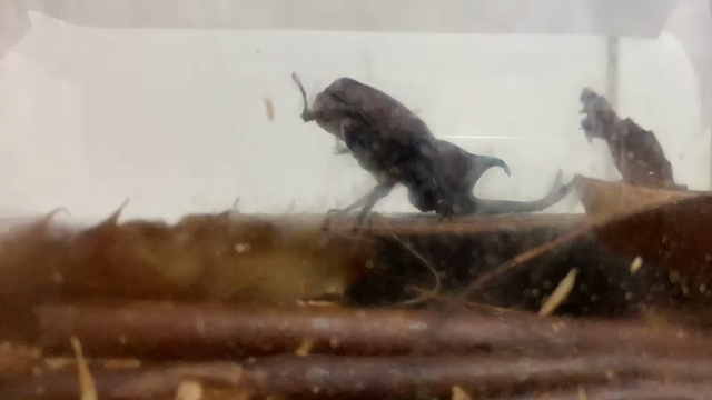 もうすぐ秋の記事動画