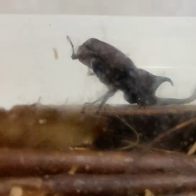 もうすぐ秋の画像