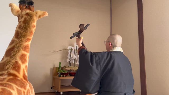 お久しぶりのの記事動画