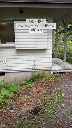 犬連れ八ヶ岳から蓼科への記事動画