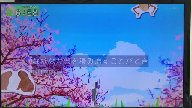 報道ランナー「だいすき」TV放映日でした。の記事動画