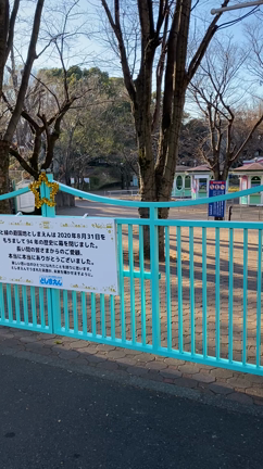 今日の僕。の記事動画