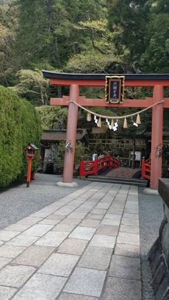 和歌山・奈良　神々を巡る旅　①の記事動画