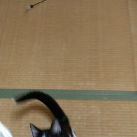 タムの画像