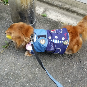 おはようございます☀️の画像