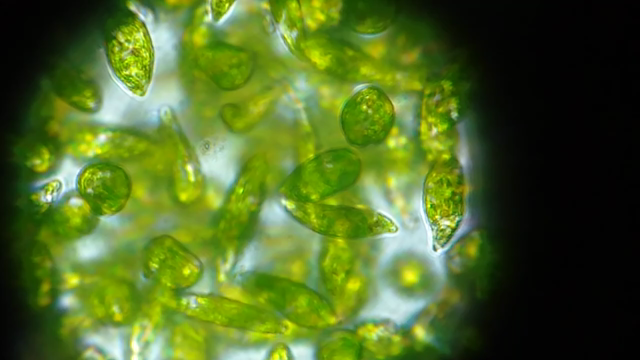 今年伸びる企業！！あと告知。の記事動画