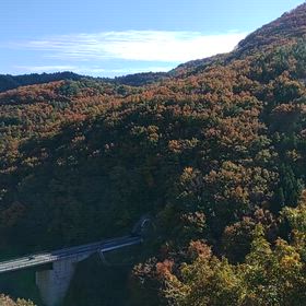 紅葉の画像