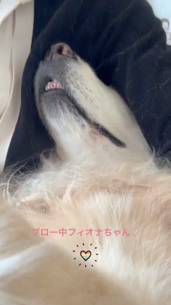 毎日が特別な日☆の記事動画