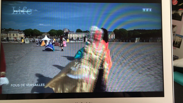 フランスのテレビに私のドレス姿が映りました❣️の記事動画