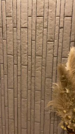 じいちゃんと孫。の記事動画