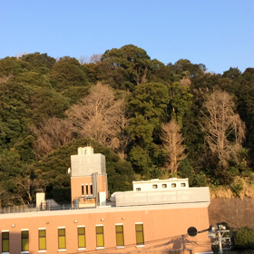 遊びの画像