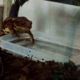 準備は念入りに！の画像