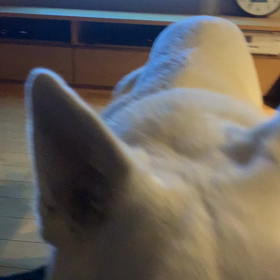 付き合ってくれてるね。の画像