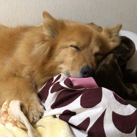 ４/４の画像