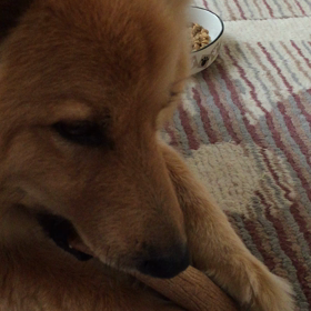 ６/８の画像