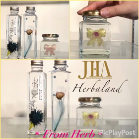 JHAフォローアップレッスンVol.2ラナ 12/23の画像