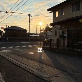 2024/11/07の画像